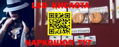 Альфа ПВП Кимры