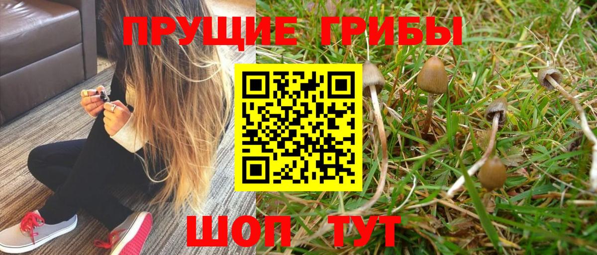 Галлюциногенные грибы MAGIC MUSHROOMS  Галлюциногенные грибы ЛСД  Смоленск  Вход с VPN 
