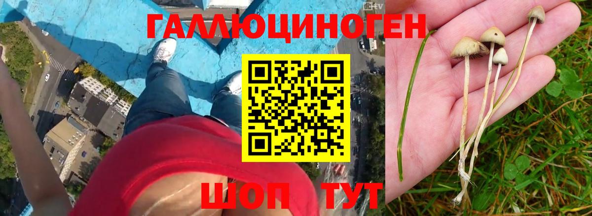 Псилоцибиновые грибы мухоморы Смоленск